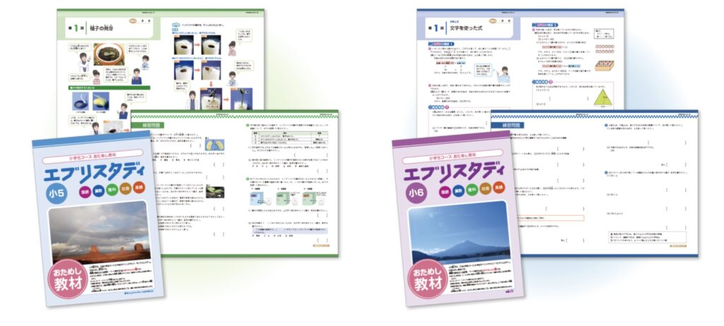 Z会おためし教材の見本ページ