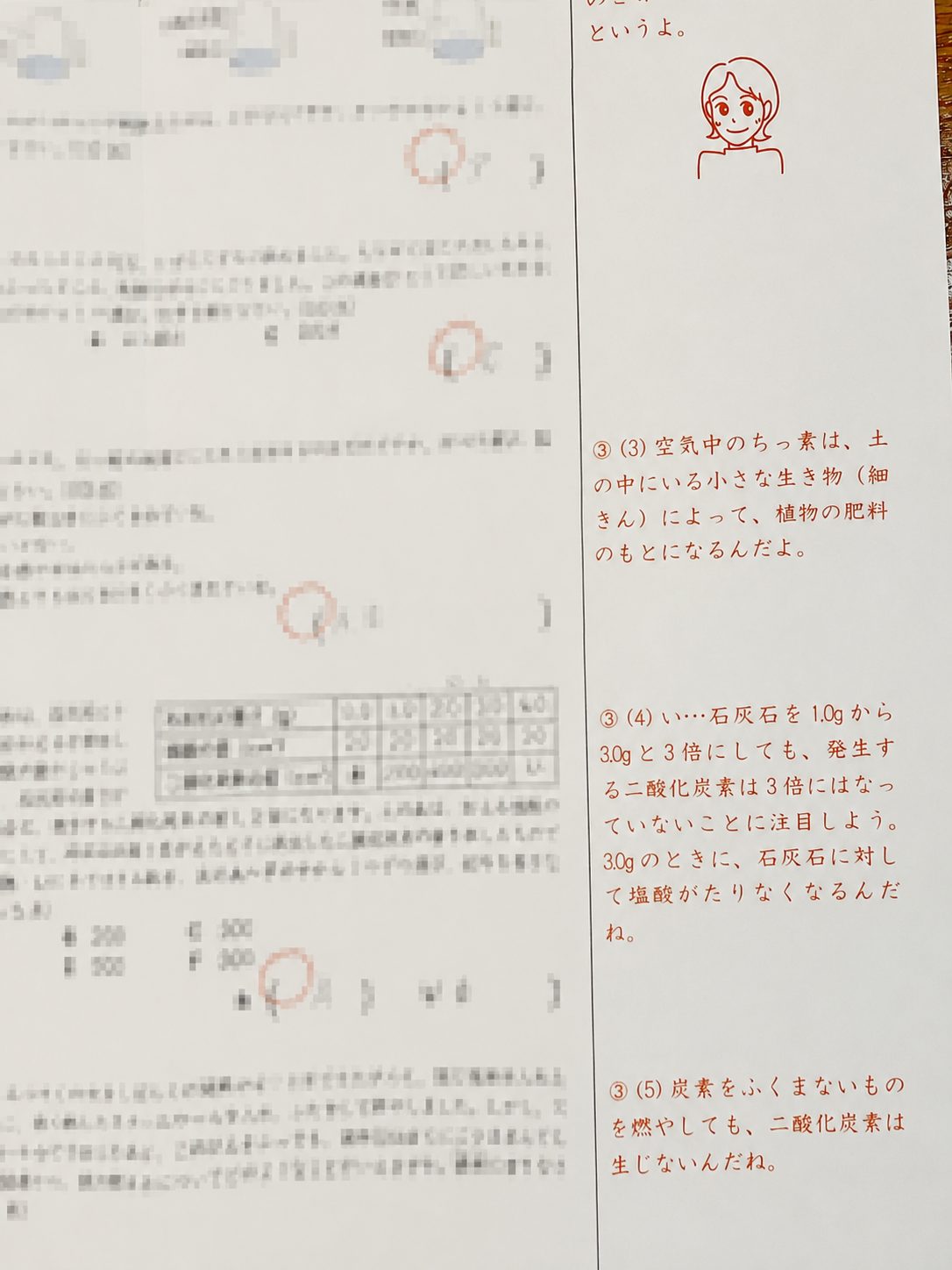 Z会の添削答案 赤ペンで書かれた解説とコメント